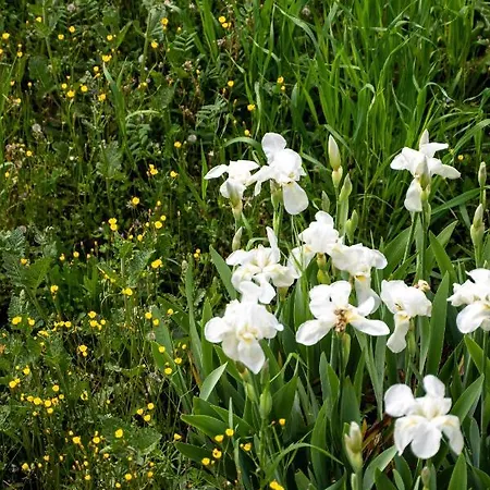 Clepsydra Mountain House