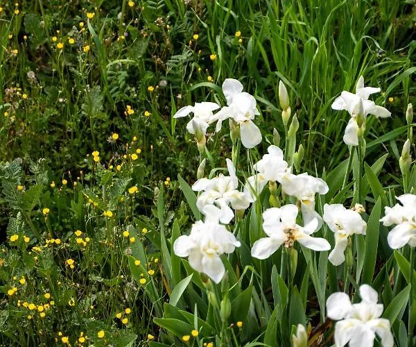 Clepsydra Mountain House